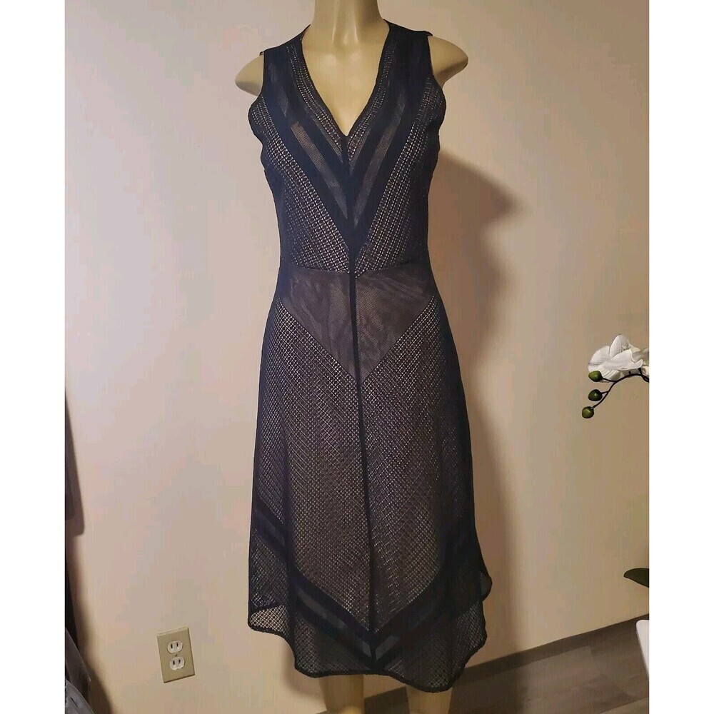 Navy Days |Women's Lace Navy Dress Small Sheer Underlined Romantic Career Formal